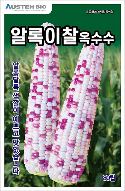 [주주씨앗] 알록이찰옥수수 씨앗 80립 얼룩찰옥수수 씨앗 다수확 통큰 옥수수, 1개