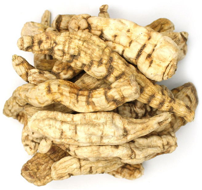 자연초 국산 백수오 백하수오 (통), 800g, 1개, 800g