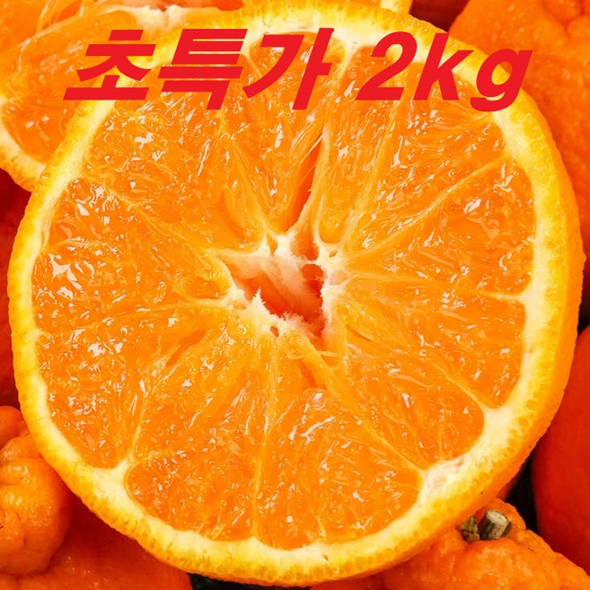 [초특가] 못난이 한라봉 실속형 달콤 과즙 가득 (소과), 1박스, 2kg