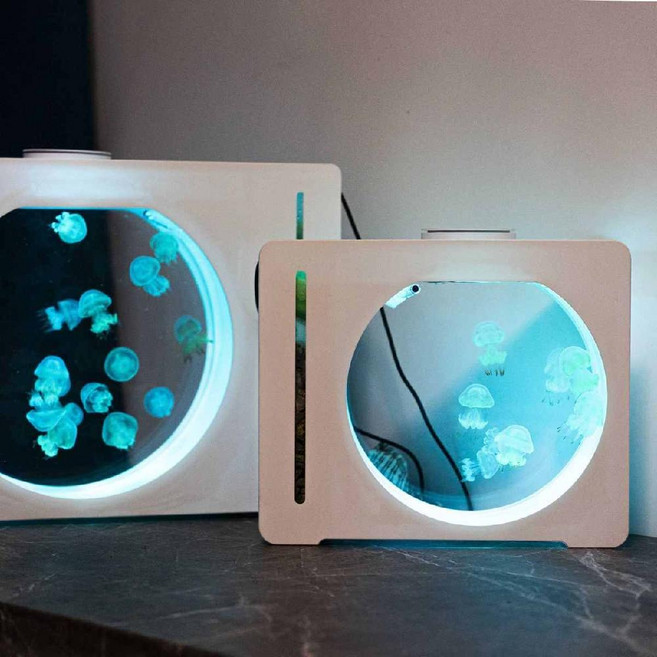 애완해파리 해수어 키우기 전문가용 해파리 수족관 세트 물흐름 분리 필터 관상어 전용 28L, 해파리