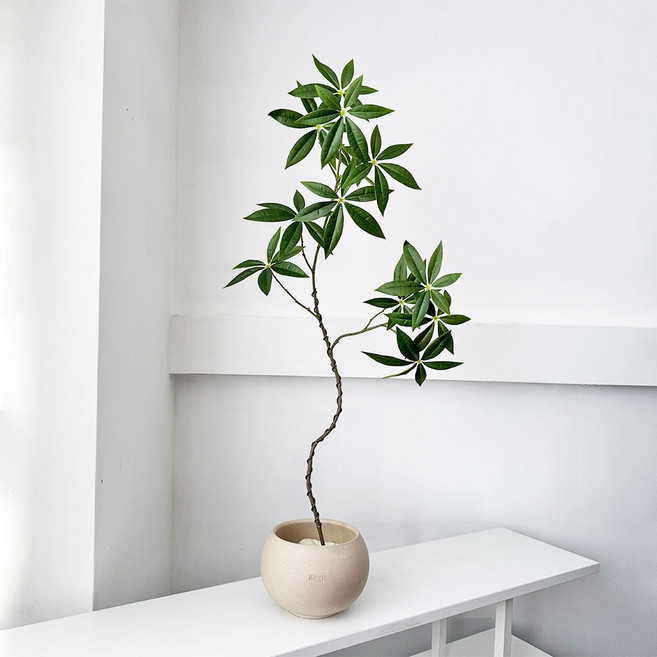 하이오브제 생화같은 파키라 나무 조화 화분 집들이 선물, 1개, 파키라 항아리형