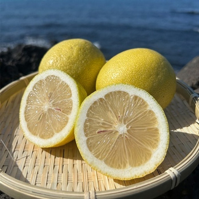 산지직송 청정 제주 프리미엄 레몬, 2.5kg, 1개