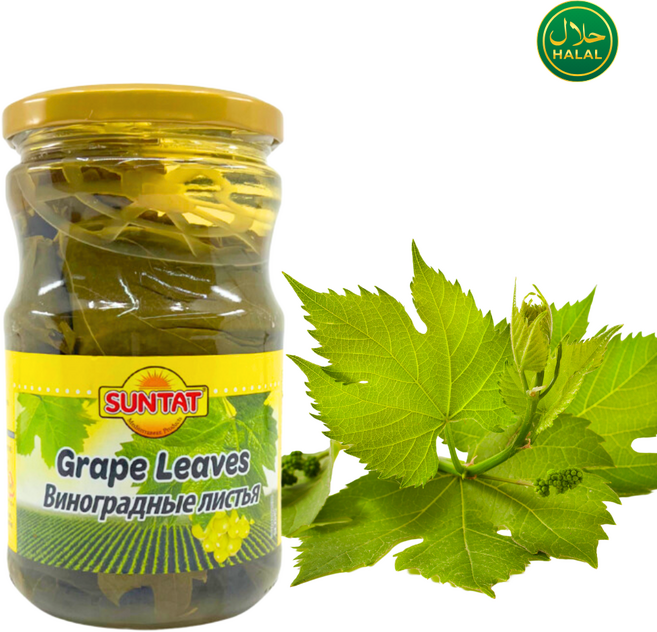 Suntat Salty Pickled Grape Leaves 선탓 짭짤한 절임 포도 잎, 2개, 630g