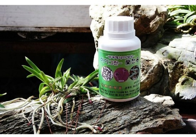 하이그린 난 전용 비료 세균퇴치제 미생물, 1개