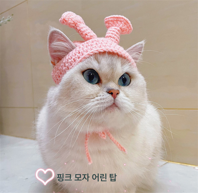 고양이 핑크 모자 텔레토비 강아지 머리띠 슈렉 펫 머리띠 영상, 핑크Ruffian젊은모자, L 적합 13 ~ 18kg, 1개