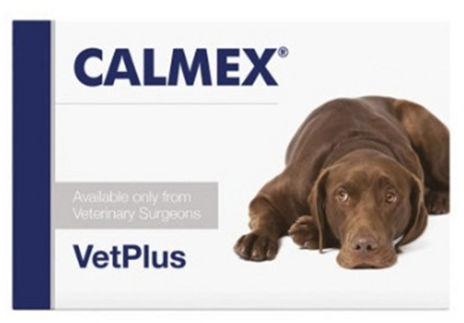 벳플러스 칼멕스 칼맥스 독 강아지 스트레스완화 행동문제 안정보조제 10정 2개, 시니어