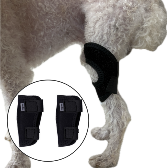 레인펫 강아지 슬개골 보호대 S, 1세트, 14g