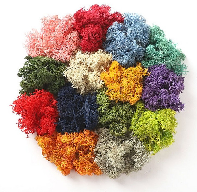 아트랄라 스칸디아모스30g (색상옵션선택) 이끼 공기정화 인테리어 꾸미기, 미디엄그린(30g)