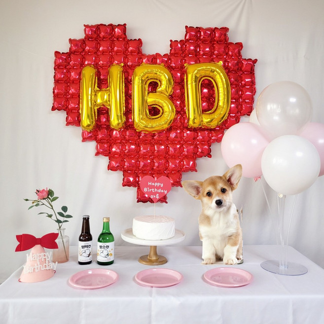 강아지 고양이 생일파티 러블리하트 생일상 세트