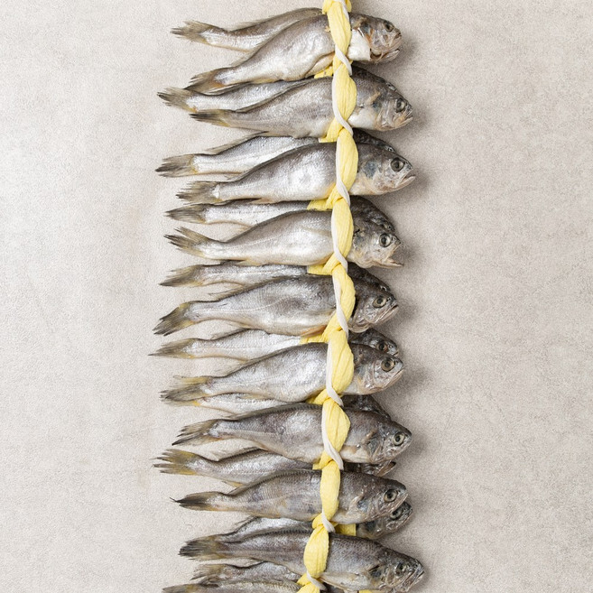 법성포 영광굴비 국내산 굴비 명품 선물 세트 참조기 20미 2.4kg (지인 부모님 직원 이바지 답례품), 1세트