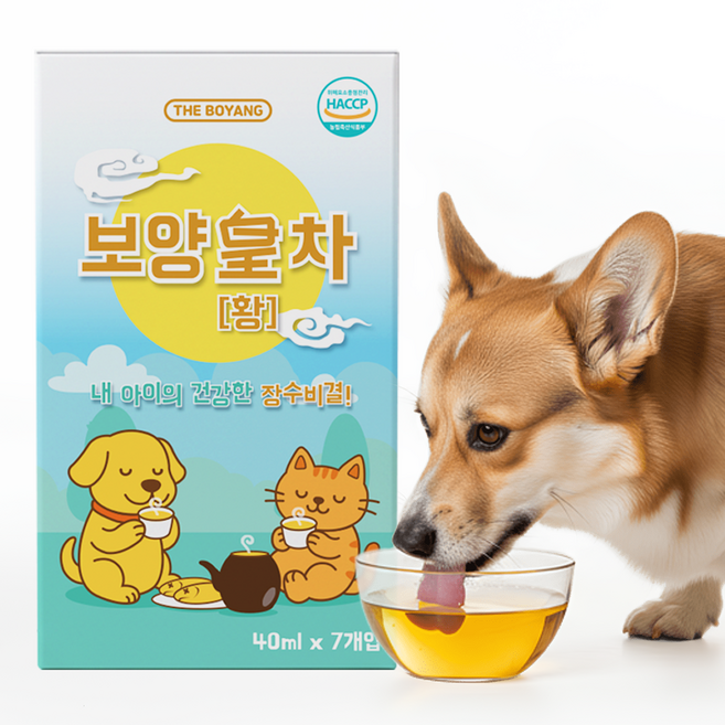 더보양 보양황차 강아지 고양이 마시는 보약 천연 영양제, 황태, 40ml, 7개