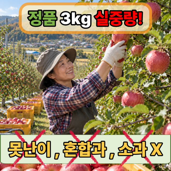 국내산 사과 초특가 정품 재구매1위, 1박스, 제철 빨간 사과 3kg