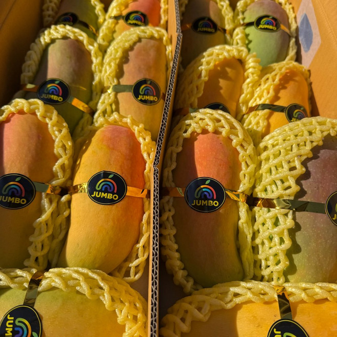 태국산 마하차녹 무지개망고 고당도 18브릭스 후숙과일, 1박스, 2.5kg(5-9과내외)