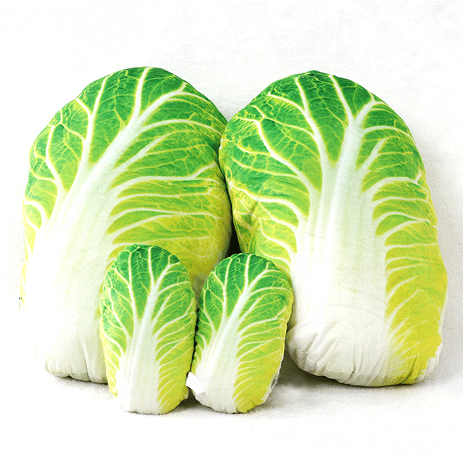 2사이즈 배추 쿠션 베개 쓸데없는선물 리얼 배추잎 배춧잎 병맛 이색 인싸템 차량용 기내용 봄 여름 가을 겨울 웃긴 친구 하찮은 재미있는 쓸모 없는 생일 선물