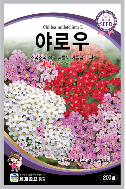 세계종묘 야로우 200립 허브씨앗, 1개