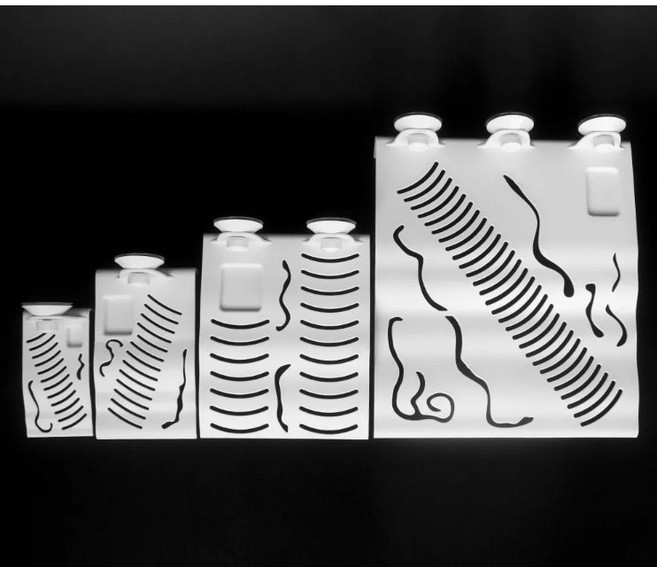 바스킹 터틀 아일랜드 중사이즈, 1개