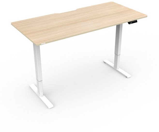 카멜마운트 핏쳐 전동식 모션 데스크 스탠딩책상 커스터마이징 E1-14 PLUS (상판 1400mm + 프레임), 블랙, 화이트