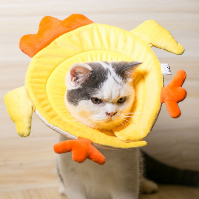 엘리자베스 서클 고양이 개 칼라 칼라 안티 스크래치 물린 안티 핥기 후드 고양이 수치 서클 치킨 실용적인 귀여운, XL 목 둘레 29-35cm, 1개