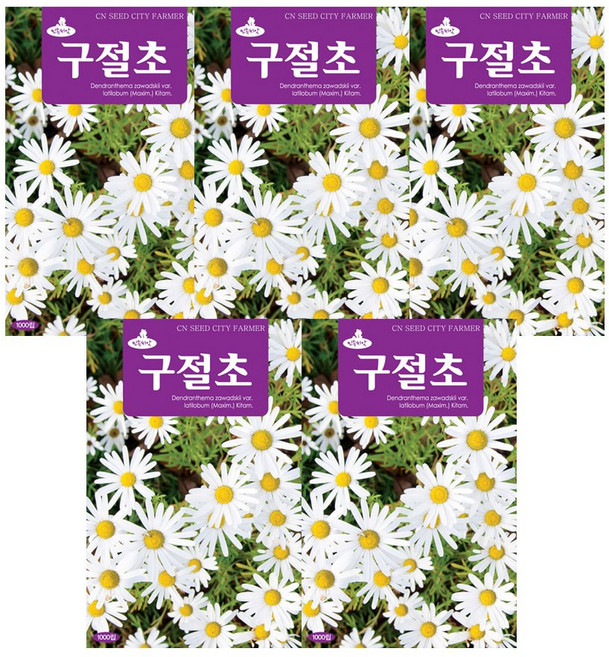 모두다 꽃씨앗 구절초씨앗(1000립), 5개