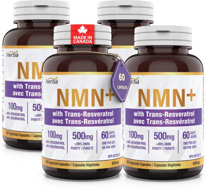 NMN 500mg 60식물성캡슐 트렌스 레스베라트롤 100mg 함유 허바캐나다, 4개, 60정