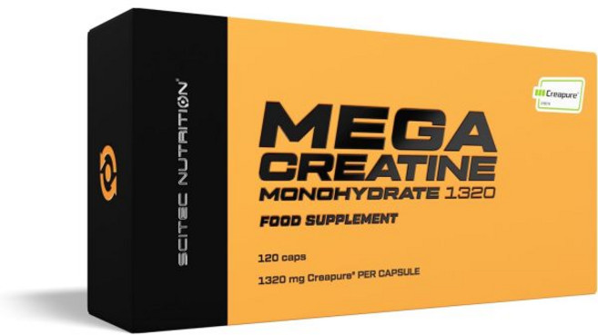 Scitec Nutrition 사이텍 뉴트리션 메가 크레아틴 모노하이드레이트 1320 크레아퓨어® 모노하이드레이트가 함유된 건강기능식품 캡슐 120개 대형, Scitec Nutrition 사이텍 뉴트리션 메가 크, 1개