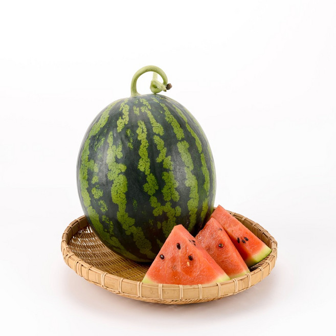 일등농수산 정품 하우스 수박, 1개, 4~5kg내외