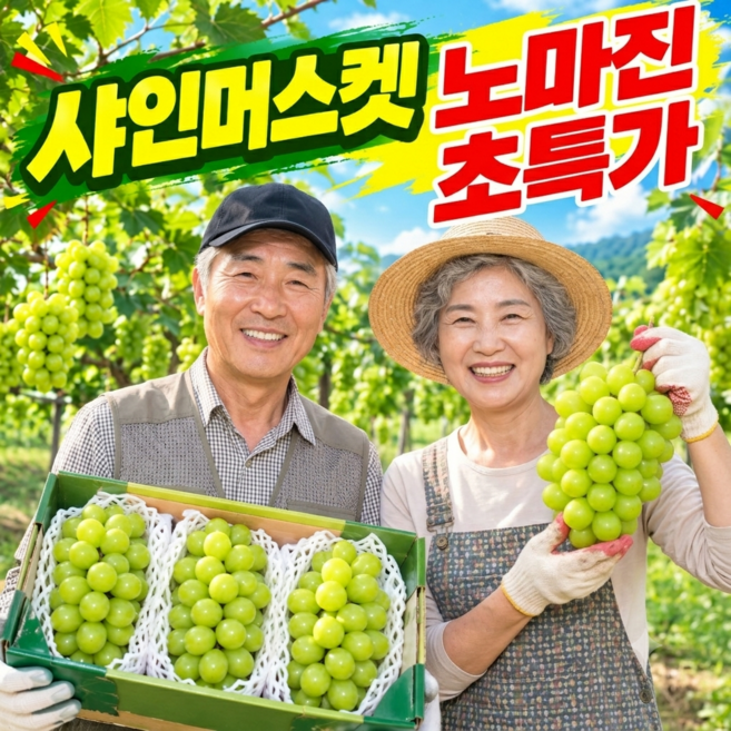 [노마진한정특가] 당일수확 당도선별 샤인머스켓 샤인머스캣포도, 1박스, 4kg (초특가)