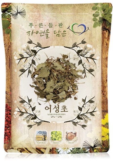 푸른들판 국내산 건조 어성초 약모밀, 100g, 1개