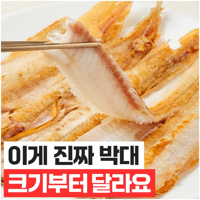 푸드지 쫀득한 군산 반건조 박대, 중 10미, 1개