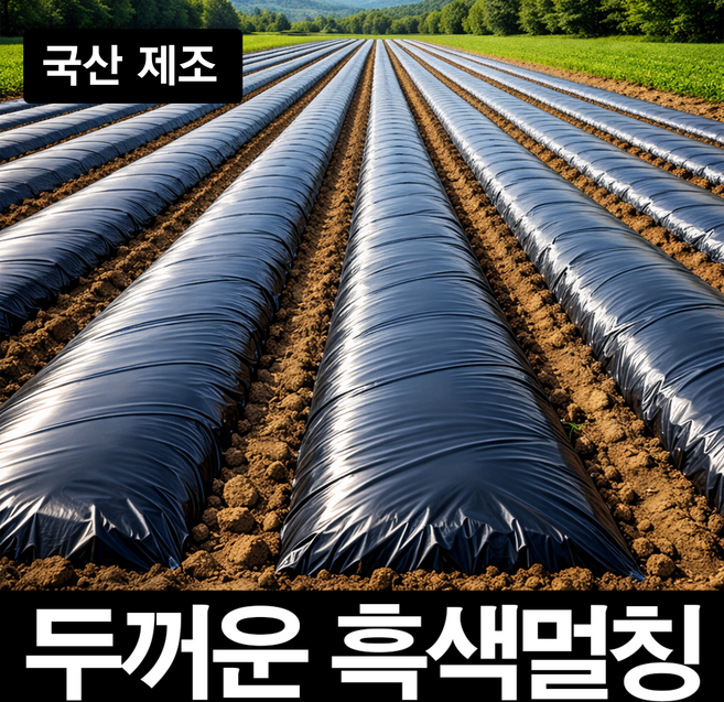 농대나온남자 멀칭비닐 검정 흑색 두께 0.02 폭 100cm 길이 200m 고추 감자 배추 무 농업 원예 텃밭 농사비닐, 1개