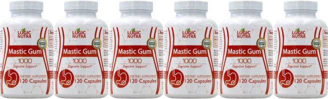 Logic Nutra 로직 누트라 매스틱 검 1000mg 120정, 6개