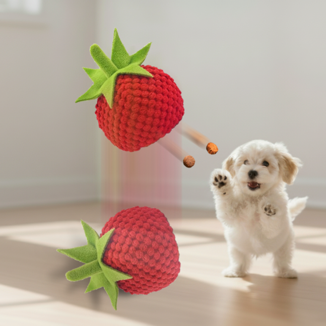 댕냥픽 프룻츠볼 자동 노즈워크 사료 간식 나오는 움직이는 장난감, 1개, 빨간색