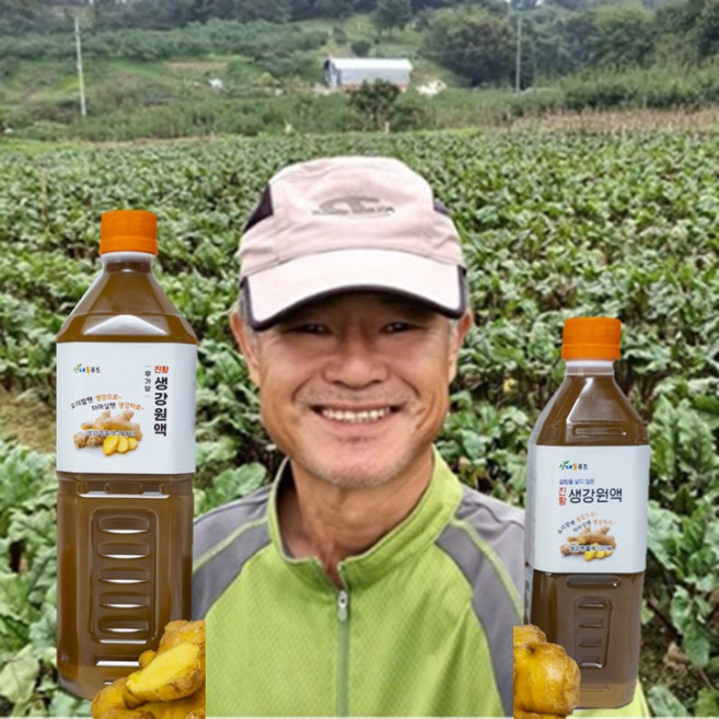 국내산 생강원액 생강추출액 무설탕 무가당 무방부제 무색소 국산 생강진액, 1개, 2개입, 500ml