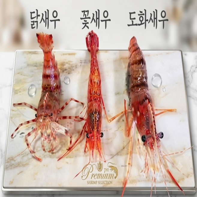 농수산물 보호구역 꽃새우 닭새우 도화새우 독도새우 활새우, 1박스, 중 500g ( 15~20미 )