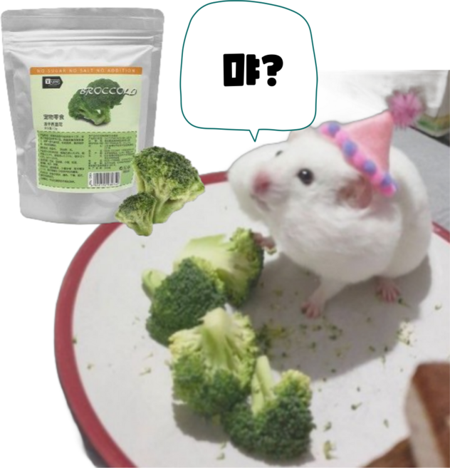 (best) 브로콜리 이갈이 간식 골든 햄스터 토끼 친칠라 기니피그, 10g, 1개