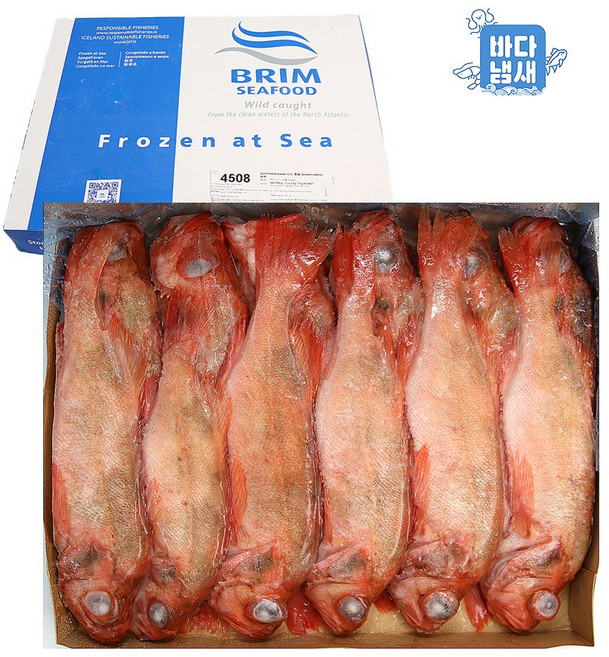 냉동 적어 대서양 붉은 장문볼락 500/700g 7kg (1판) 열기 빨간생선, 1