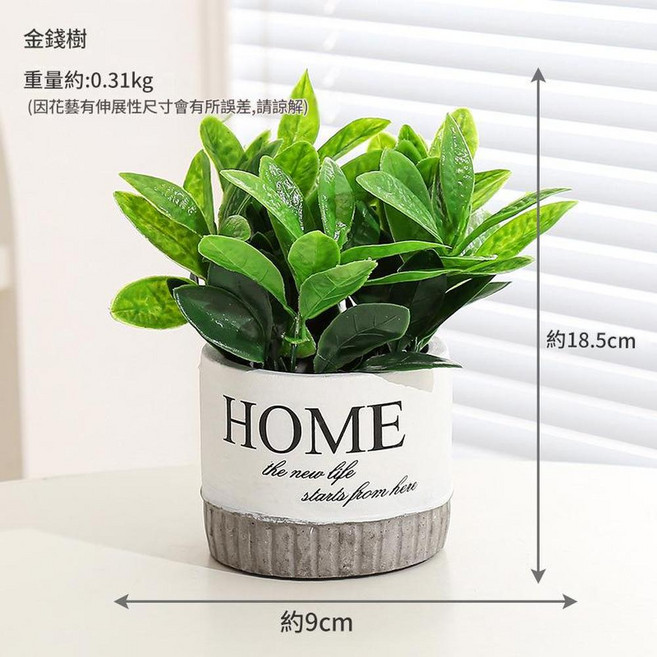 仿真花盆栽 白色, 陶瓷盆金錢樹模擬花, 1個