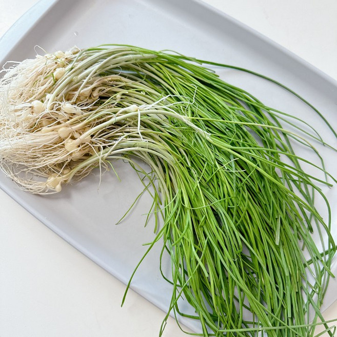 여수 노지 햇달래 산지직송, 1개, 200g