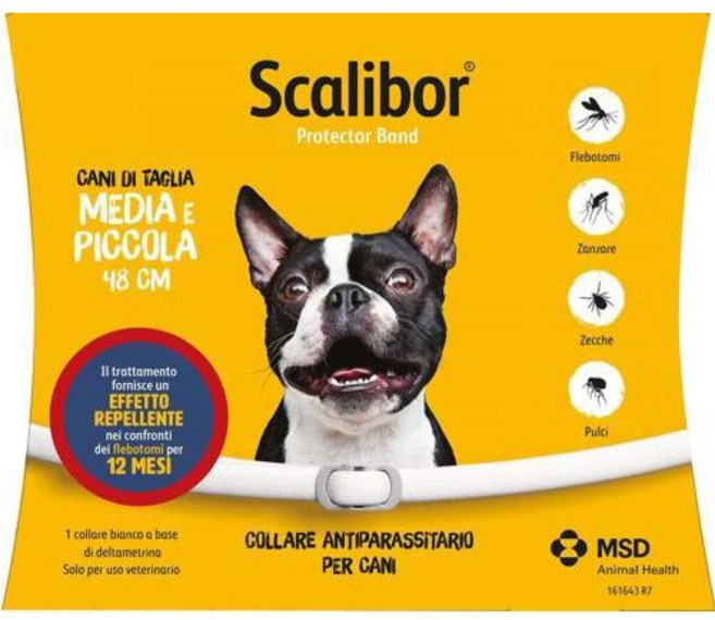 돌단비 강아지 유전자 검사 키트 혈통 DNA 테스트, 1개, 이탈리아 강아지 48CM