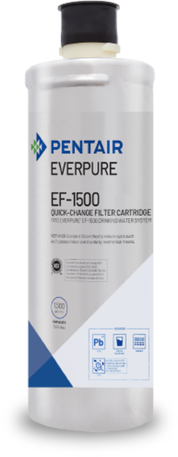 【EVERPURE 愛惠浦】碳纖活性碳濾心, 1個, EF1500 cart