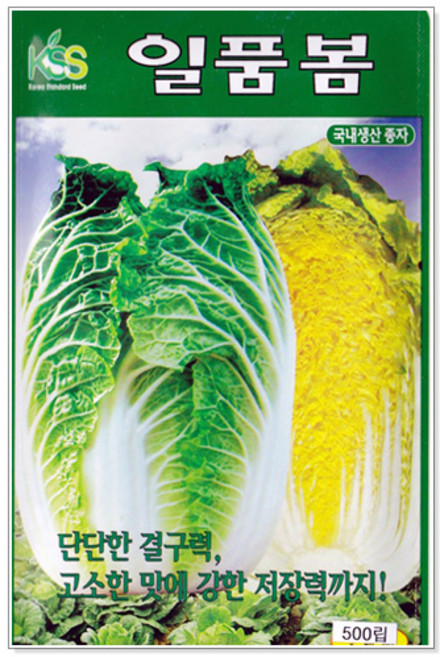 세인화분 일품 봄배추 500립 - 배추씨, 1개
