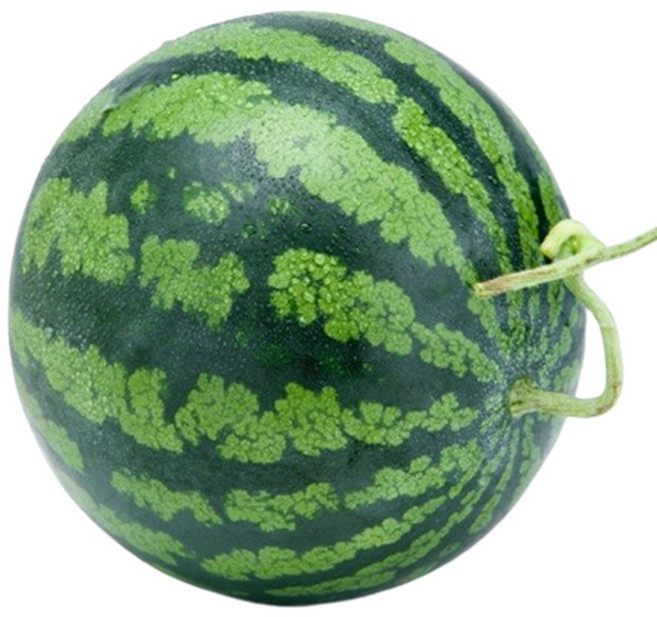 국내산 고당도 여름수박 5kg 6kg 10kg 제철과일 흑수박 하우스 농장직송, 1개, 수박 5kg 전후