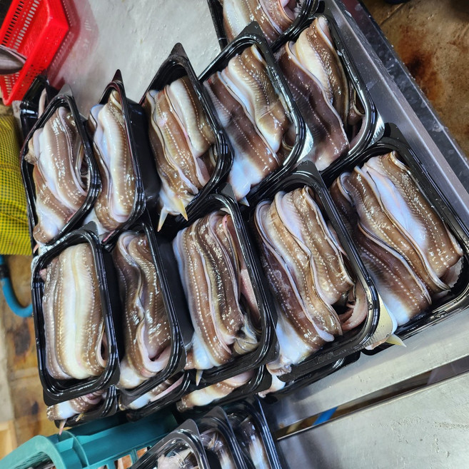 당일조업 최상급 통영 자연산 바다장어 특품 a eel, 1박스, 1kg (손질 후 550g / 2-3미 / 소스동봉)