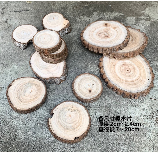 樟木片 原木隔熱墊 乾燥花設計 花禮, 1個