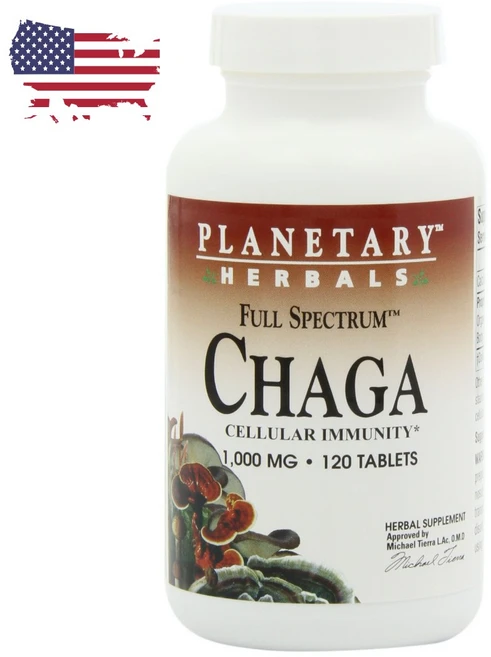 플래너터리허벌스 차가버섯 1000mg 타블렛, 1개, 120정 - 쿠팡