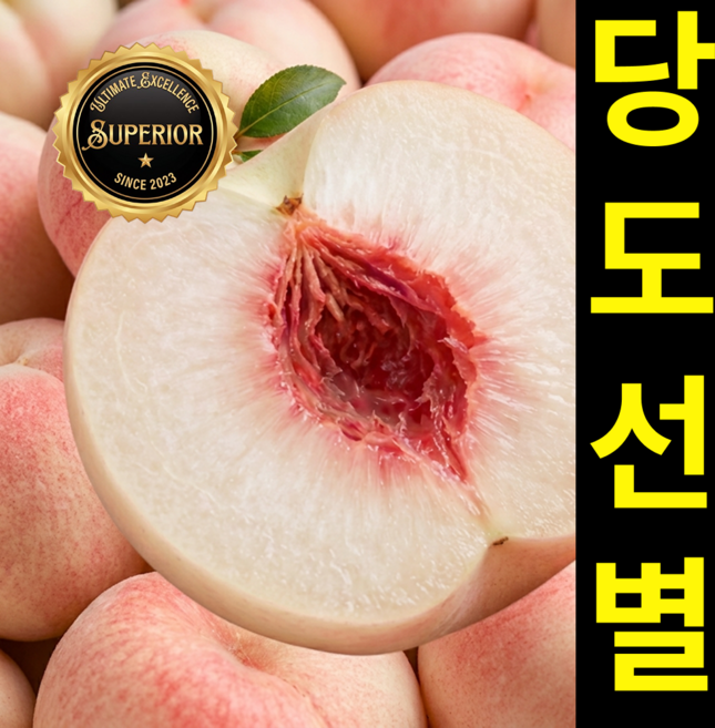 [26년햇복숭아] 꿀Brix 당도선별 복숭아 산지직송, 1세트, 500g