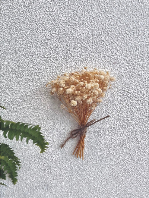 迷你花束 乾燥花 畢業花束 生日送禮 母親節禮物 婚禮小物, N(不含燈串、不含透明袋)