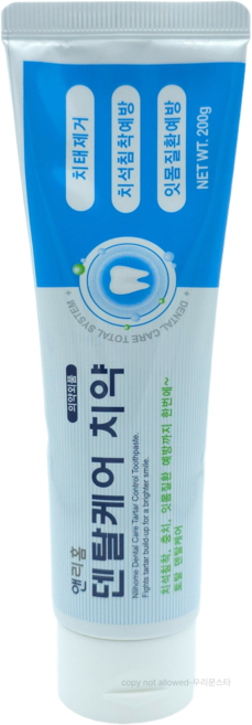 앤리홈 덴탈케어 치약 프라그제거 치석형성억제 잇몸질환예방 200g, 1개입