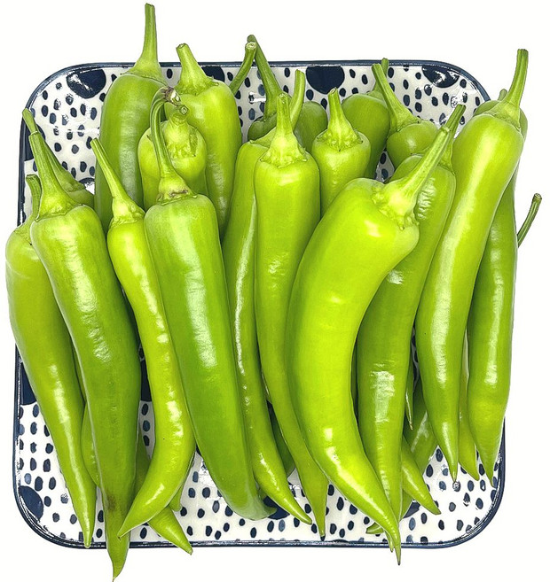 당뇨에 좋은 기능성 고추 혈당 조절에 탁월한 당조 고추, 1개, 당조고추 800g