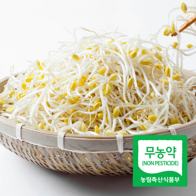 국내산 이조은 산소 콩나물, 1개, 2kg